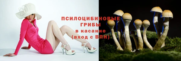 прущая мука Куровское