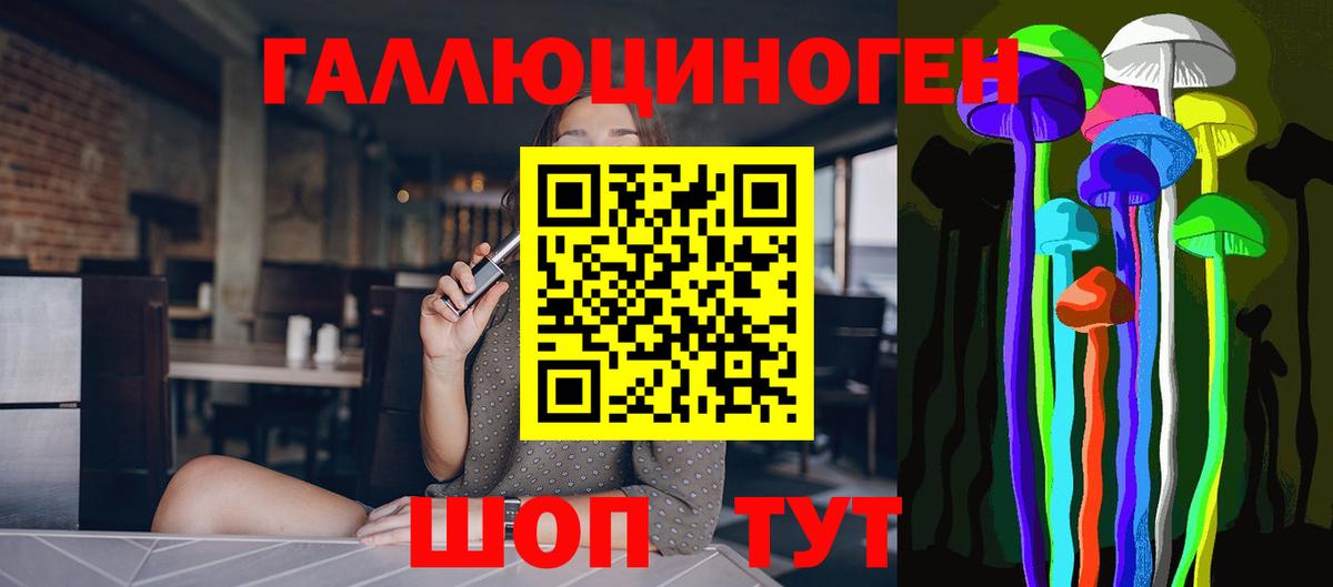 Северобайкальск  Псилоцибиновые грибы MAGIC MUSHROOMS  Вход с VPN 