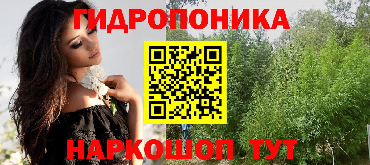 Шишки марихуана гибрид  Конопля THC 21%  Бошки Шишки Ganja  Северобайкальск  Вход с VPN 